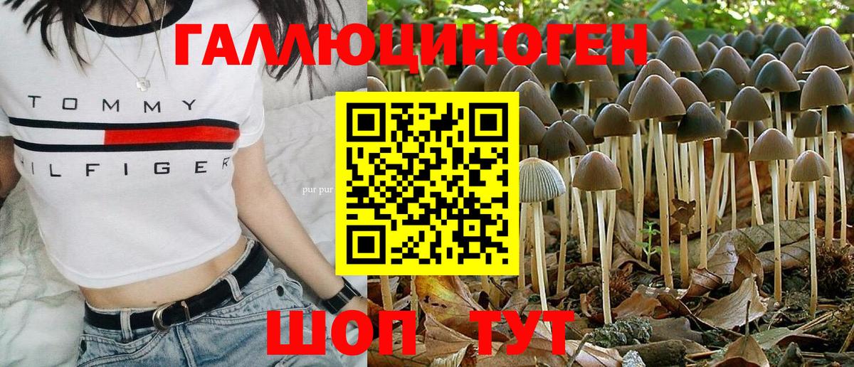 Галлюциногенные грибы ЛСД Бугульма